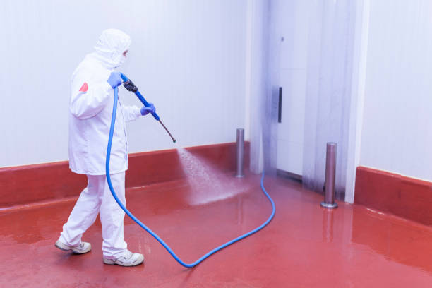 Best Graffiti Removal  in Ringwood, NJ