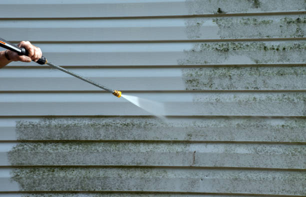 Best Building Exterior Washing  in Ringwood, NJ